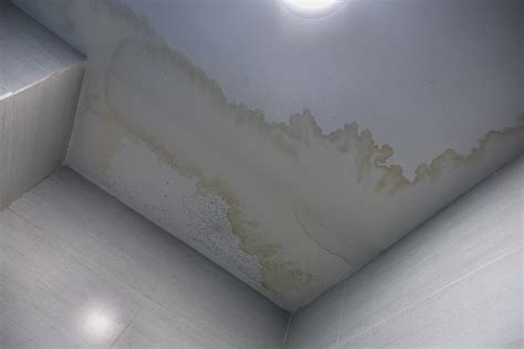 Damp Patch on Ceiling: Causes and Cures